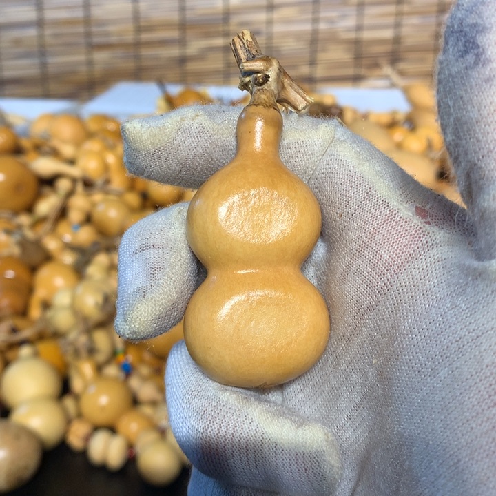 梨等经济林作物中提取和生长