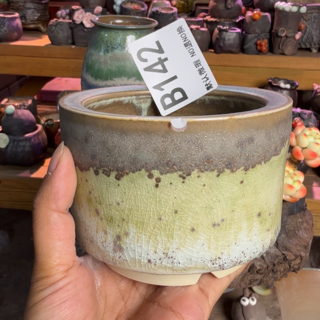 重庆小燕子欢迎大家142