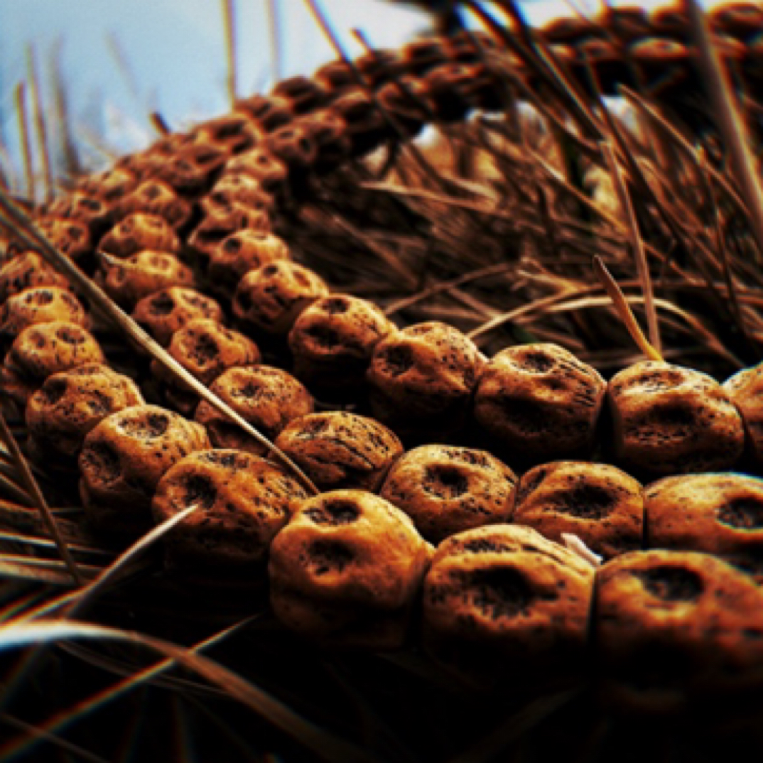 唐广封神系列《龙战》TG0803热振百香籽一条