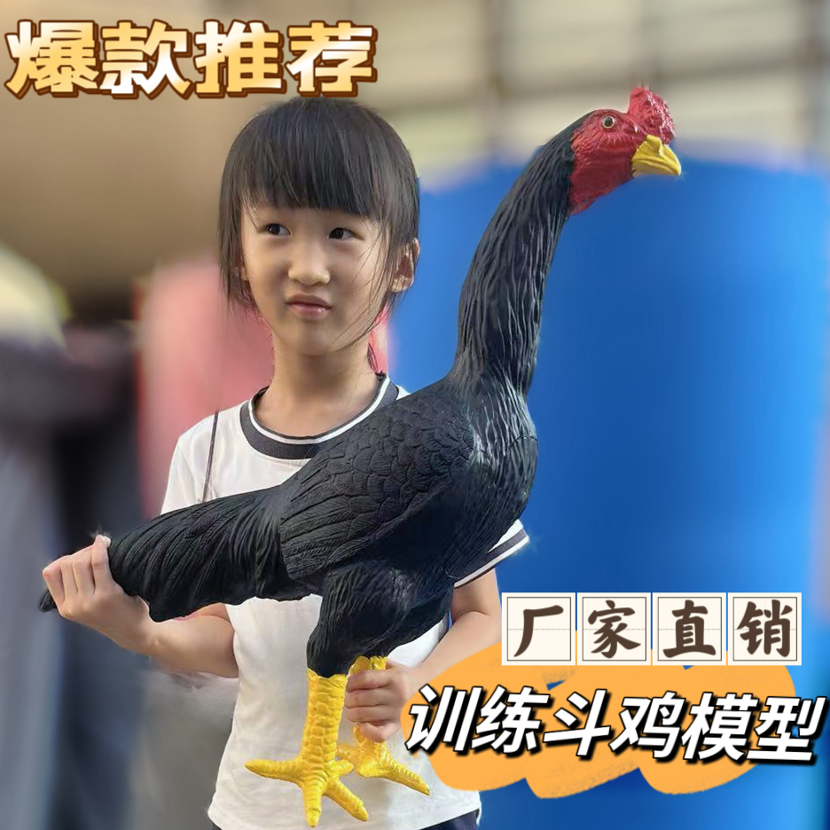 斗鸡用品 橡胶鸡训练模型 假斗鸡 泰国仿真鸡 鬼子鸡金鸡