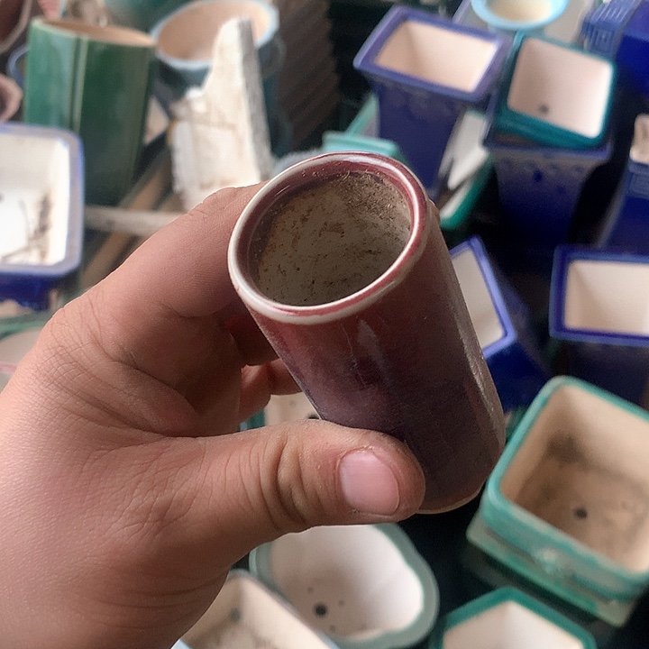 紫砂没有那么重要的人在