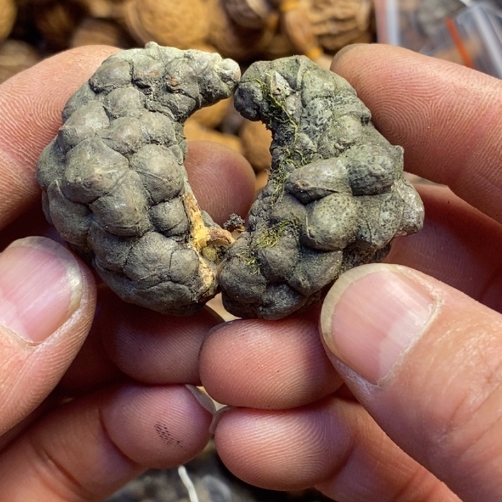 桃核吊坠东北特产35