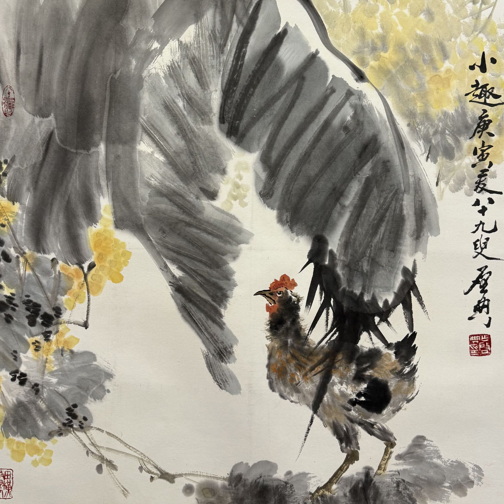 【花鸟】  68x67   CP-30345   画片