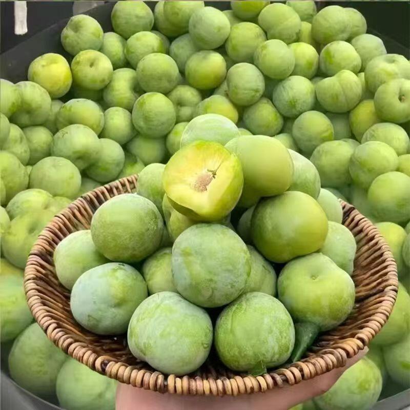 【顺丰发货】云南青脆李 酸甜李新鲜水果3斤5斤整箱