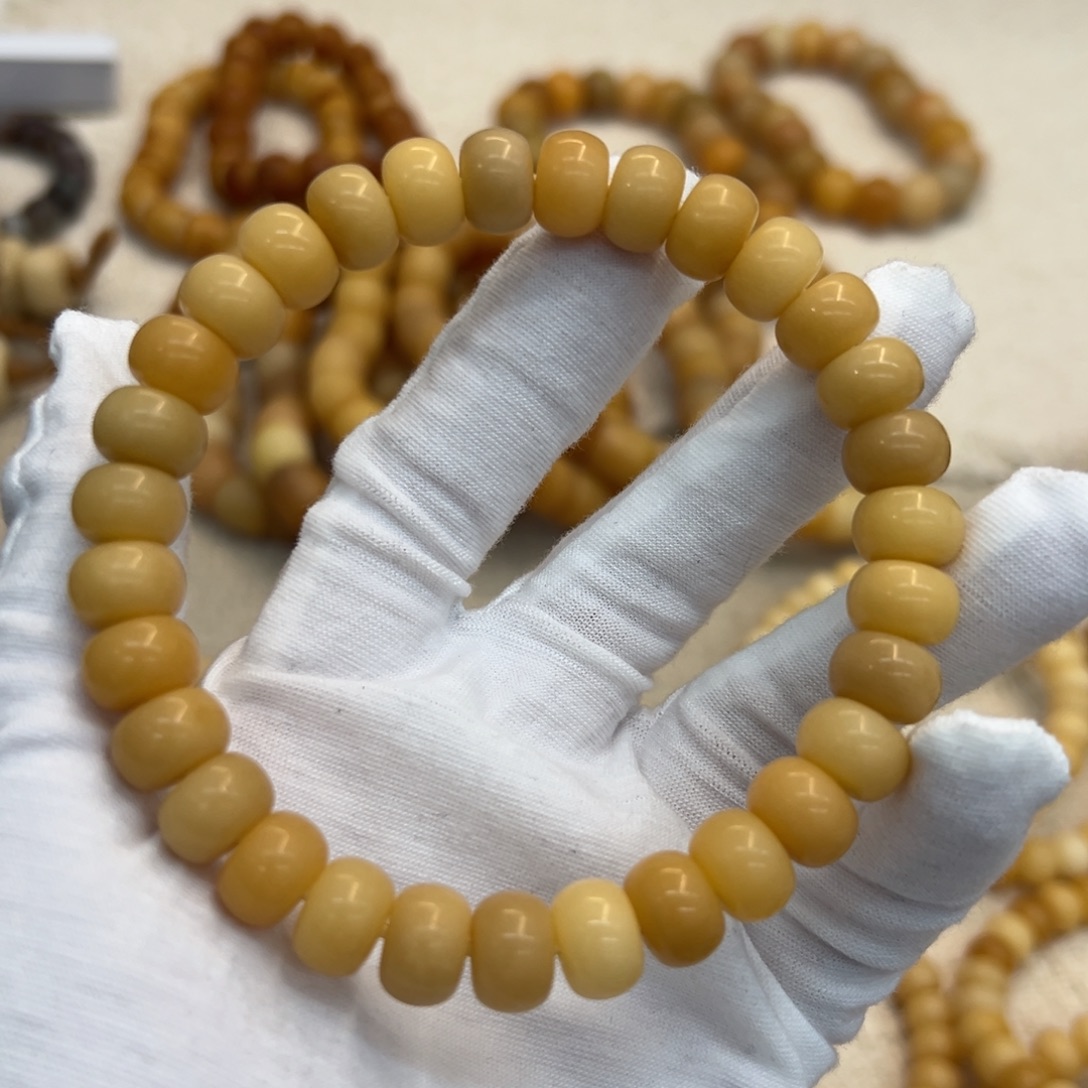 吊坠菩提根/象牙果11干磨树王321