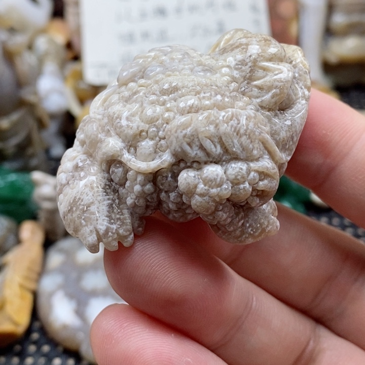 硅化珊瑚（珊瑚玉）颈饰未镶嵌