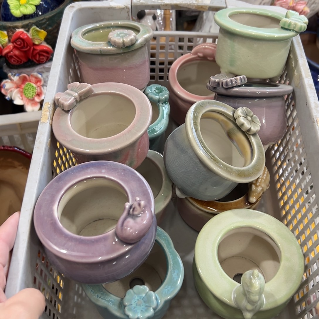 12个随机花盆拍满20元发货，退款拉黑