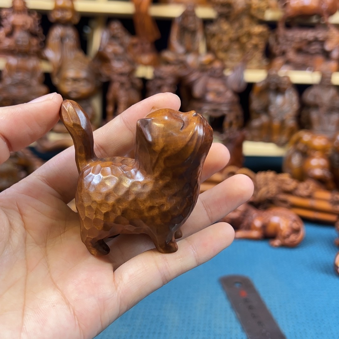 黄杨木小叶黄杨木