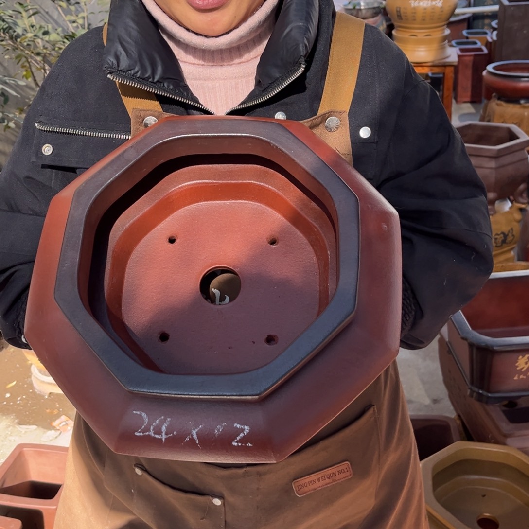 花盆紫砂盆景艺术