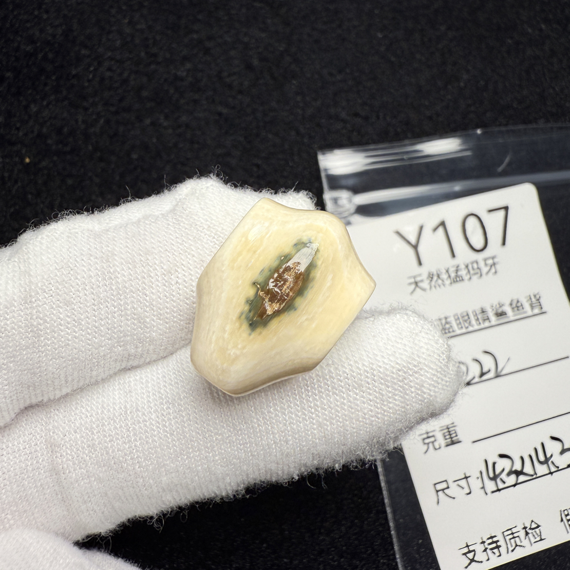 Y107猛犸象牙蓝皮鲨鱼背一体三通冰料果冻料14.3*14.3*20.5mm