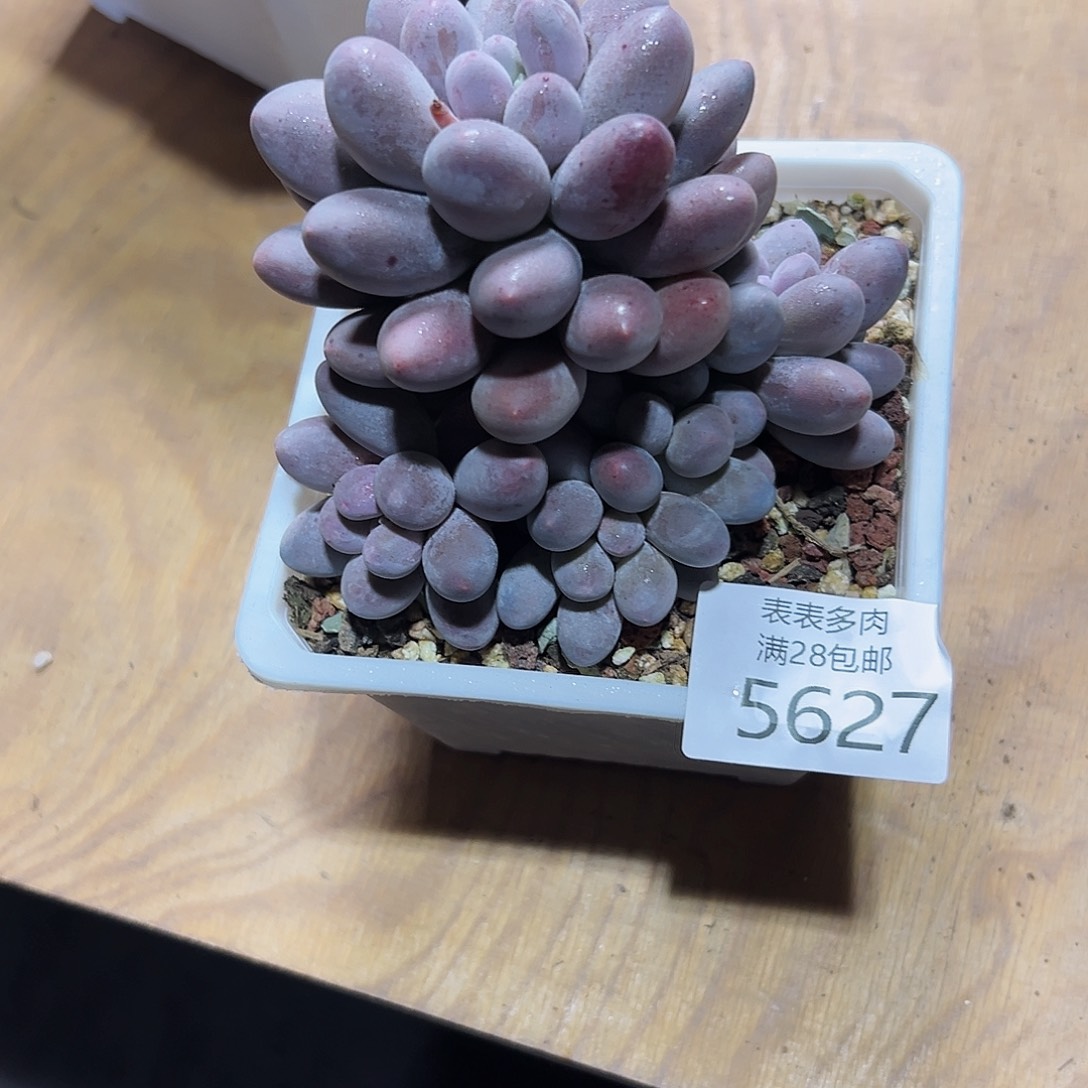 9号沐*?我们的确是一个5627