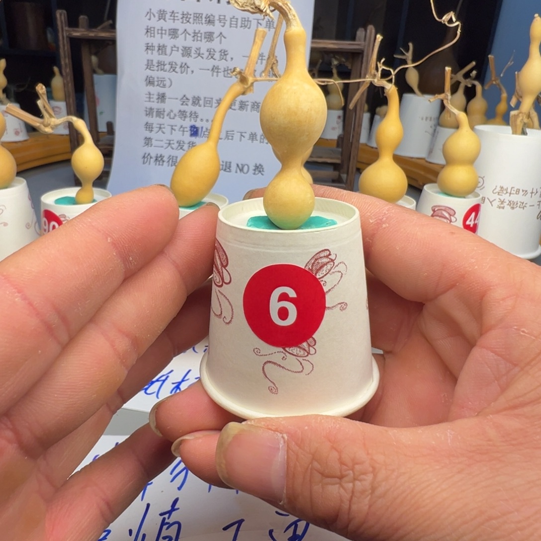 闪电购自助下单编号06