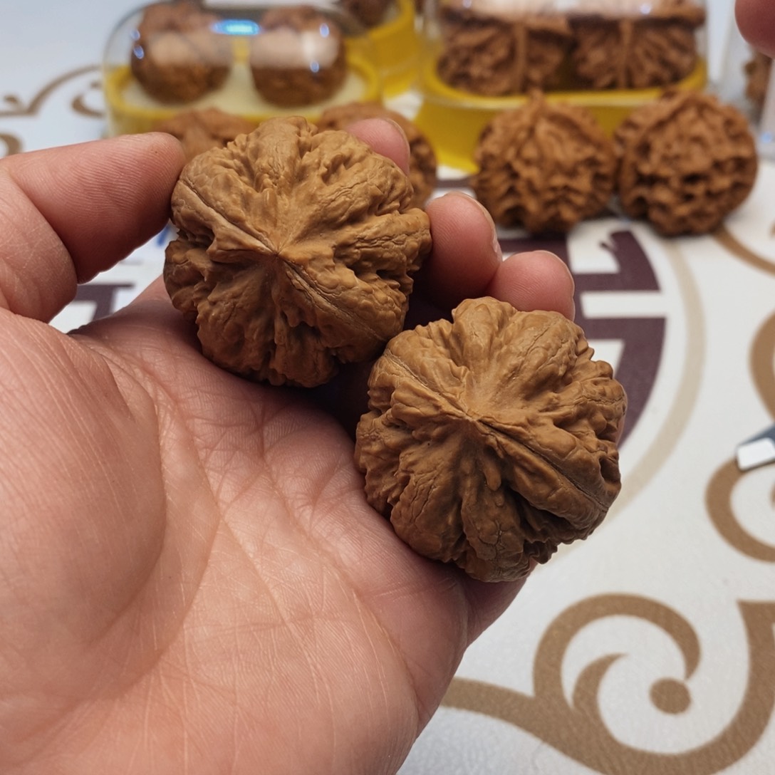 文玩核桃吊坠霸王龙41尺全品