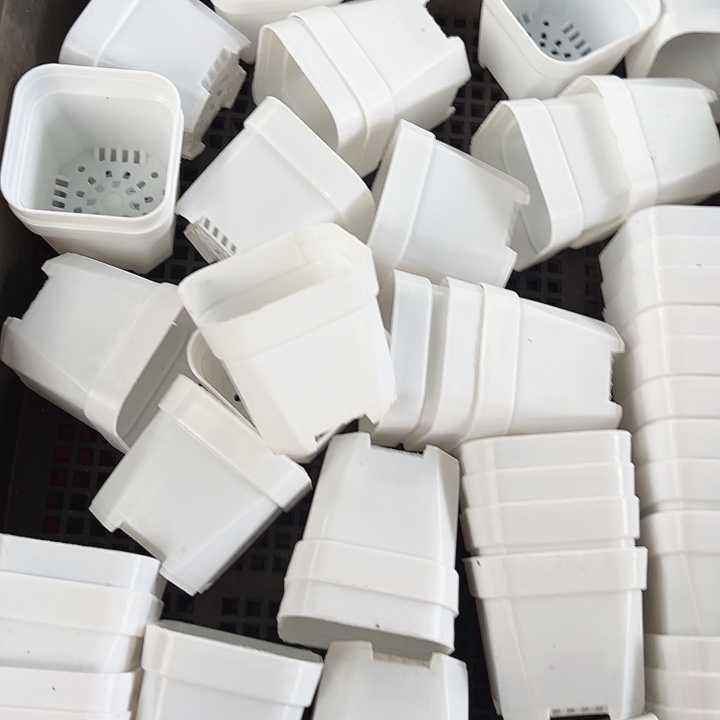 50小白方盆40个白色