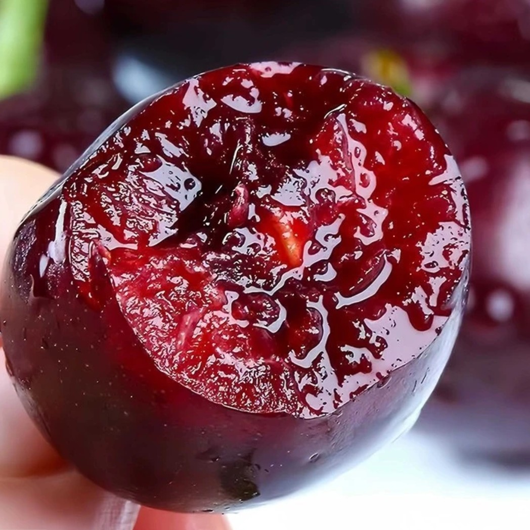 【顺丰包邮】汶川车厘子甜樱桃红灯黑珍珠果园现摘直发