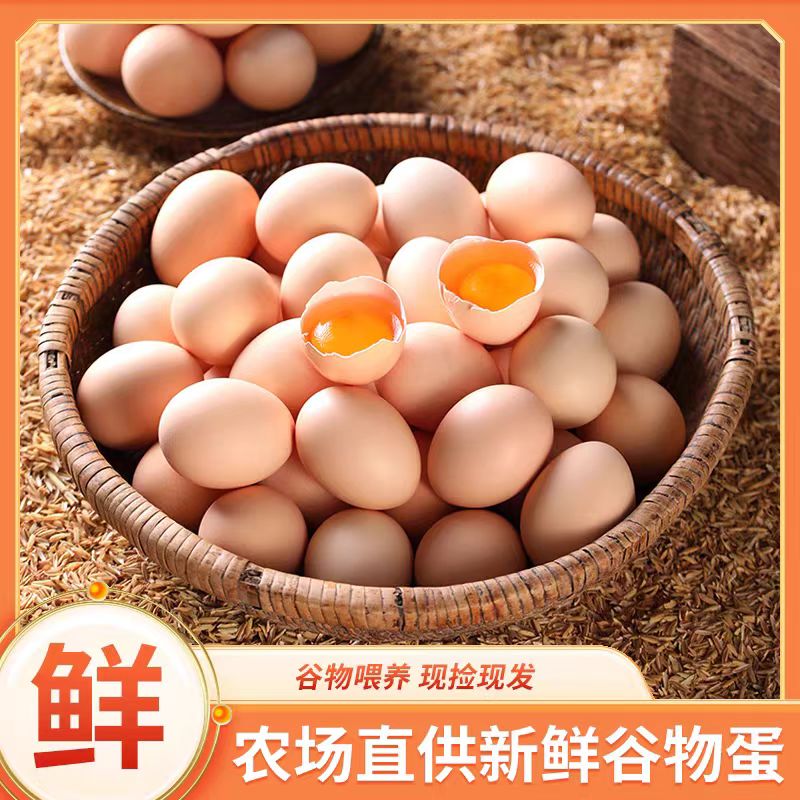 【破损包赔】【50枚】农家散养谷物新鲜土鸡蛋营养健康破蛋包赔