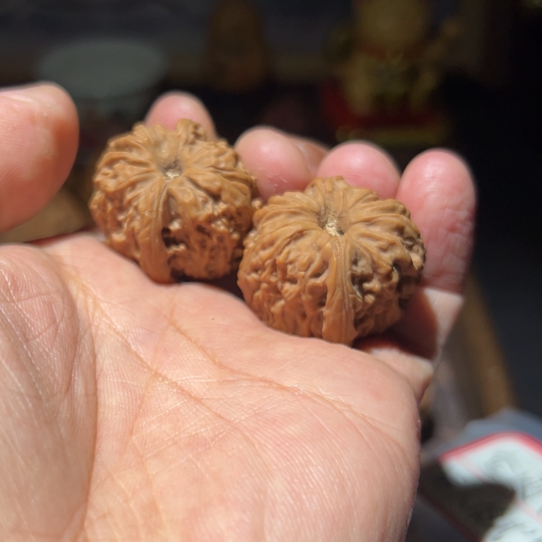 街***货瑞麟文玩核桃南疆石