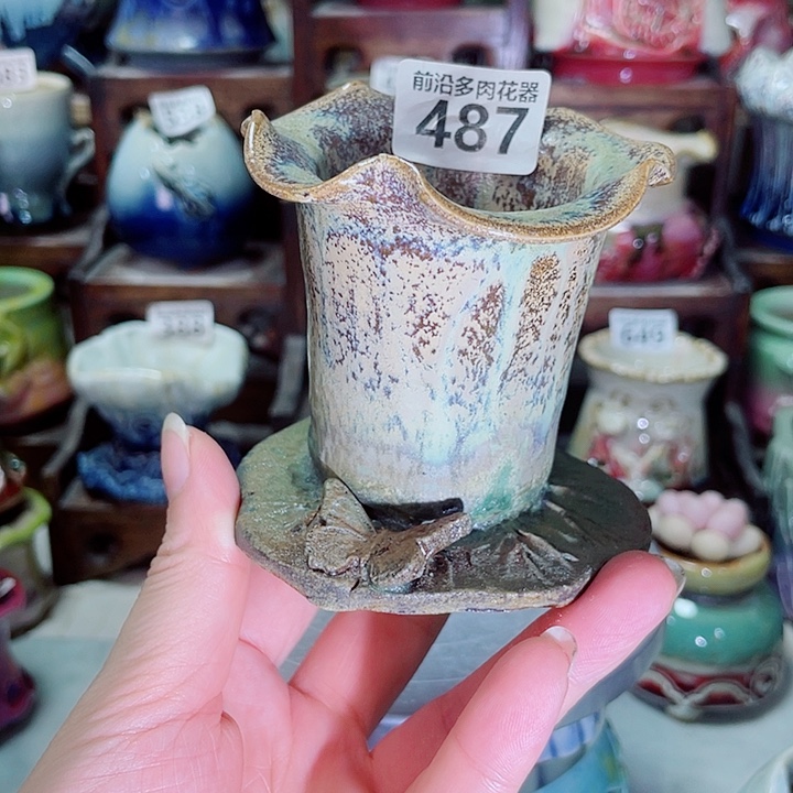 狼盆内口径5高度7