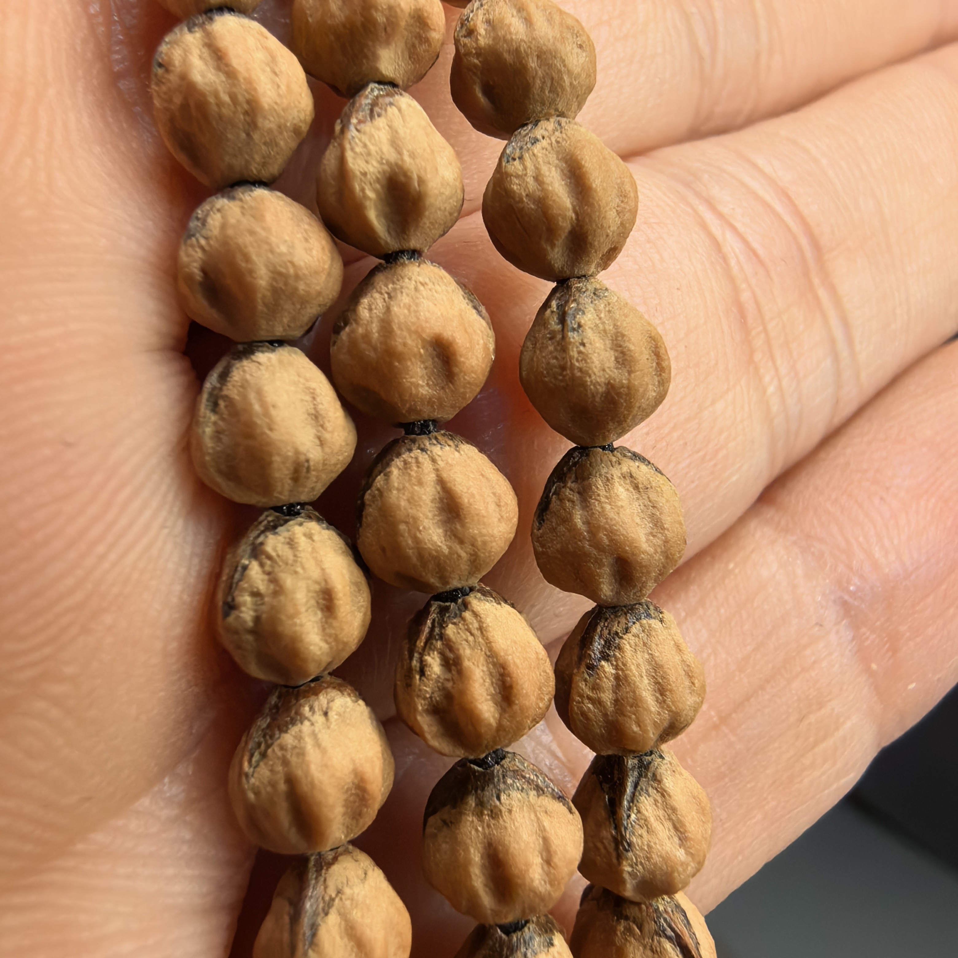 柏香籽红芽小金豆108