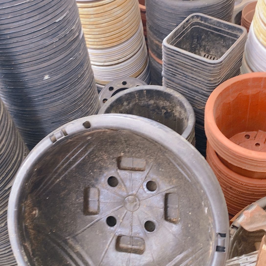 塑料旧280 公分黑吊兰盆10个