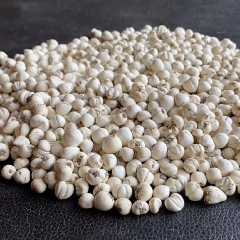 【云货心选】川贝母