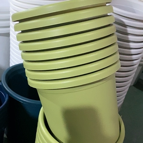 树脂微瑕4号8个无托果绿