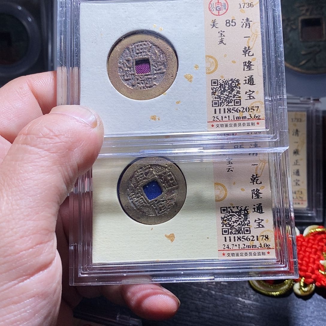 铜5哈哈哈哈哈哈哈哈哈哈哈