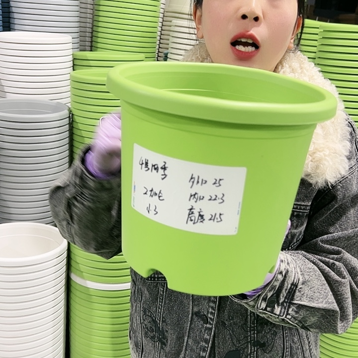 特价4号口25高21.5果绿色8只无托