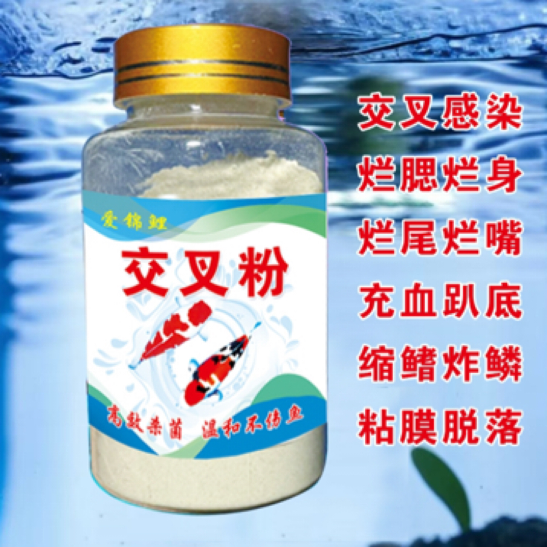 交叉粉锦鲤观赏鱼合池合缸净水调节水质改善水体环境