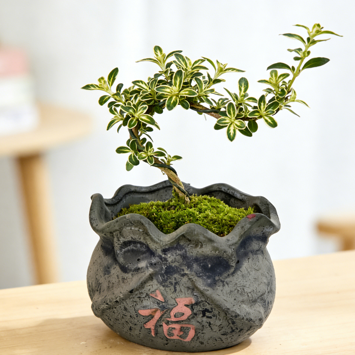 透气陶瓷花盆直径9cm高7cm桌面绿植盆复古中国风多肉专用透气花盆