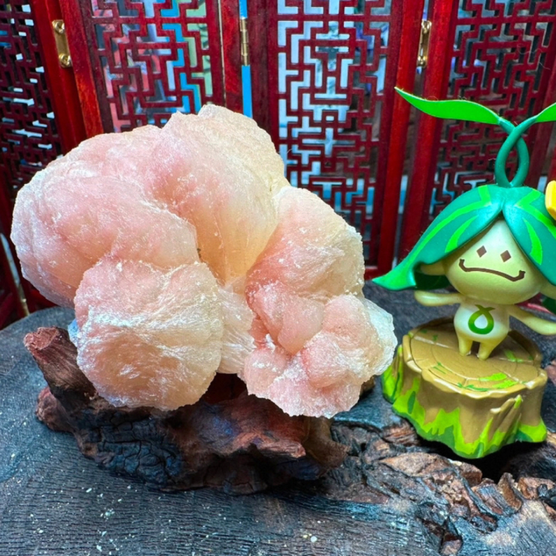 高品粉嘟嘟沸石花朵可放冰箱异味装饰