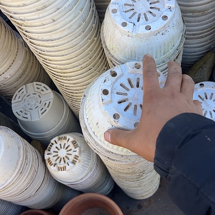 白色聚宝盆口径15高8