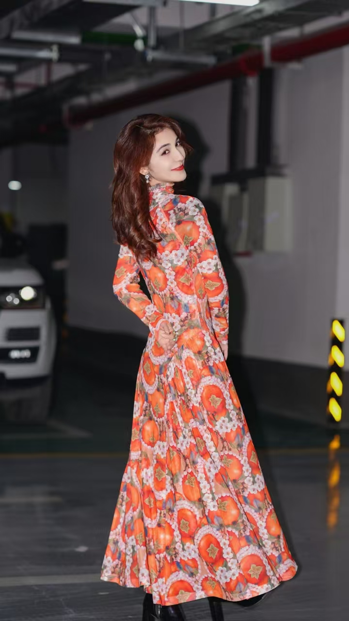 HZHJ新款原创“好柿连连”长袖连衣裙优雅贵族高定走秀1597