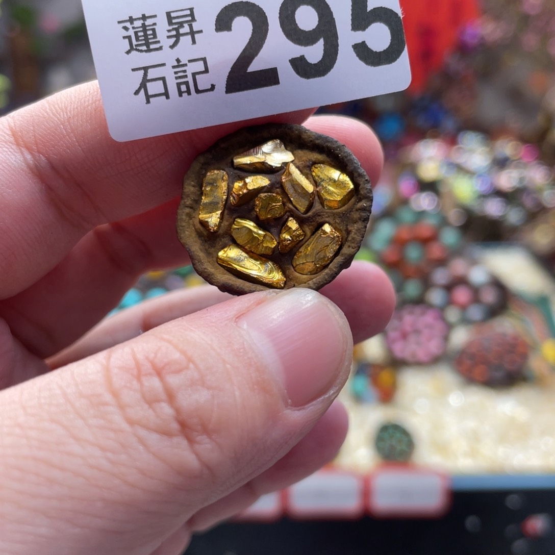核桃木/黑胡桃（胡桃木）马****?295