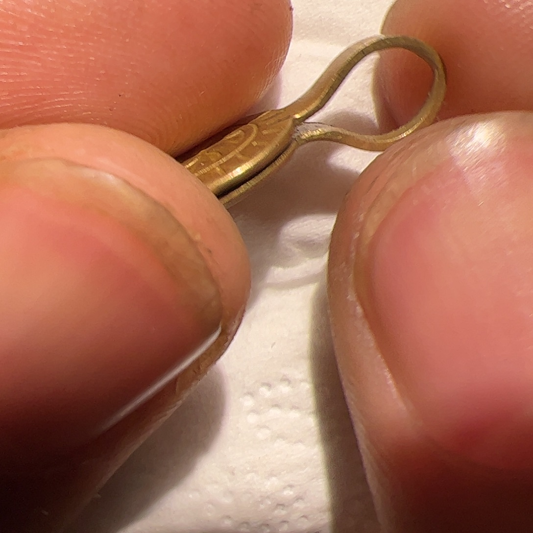 香榧木在这里的时候