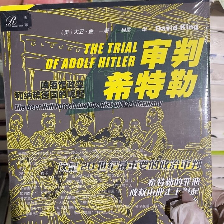审判希某勒微瑕微瑕微瑕7