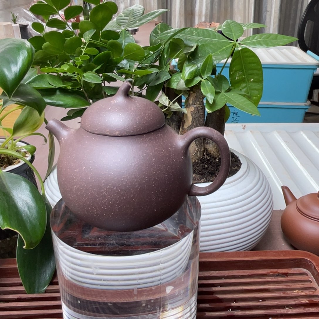 茶杯紫砂茄瓜一个