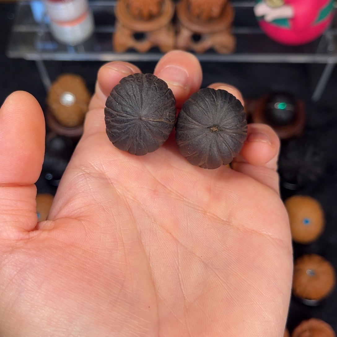 ****把件文玩核桃24.5尺莲昌地闷款