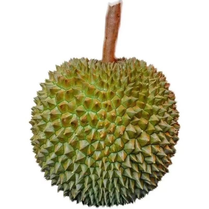 整果 正宗一级 猫山王鲜果新鲜进口核小KG泰国猫山王猫山王泰国