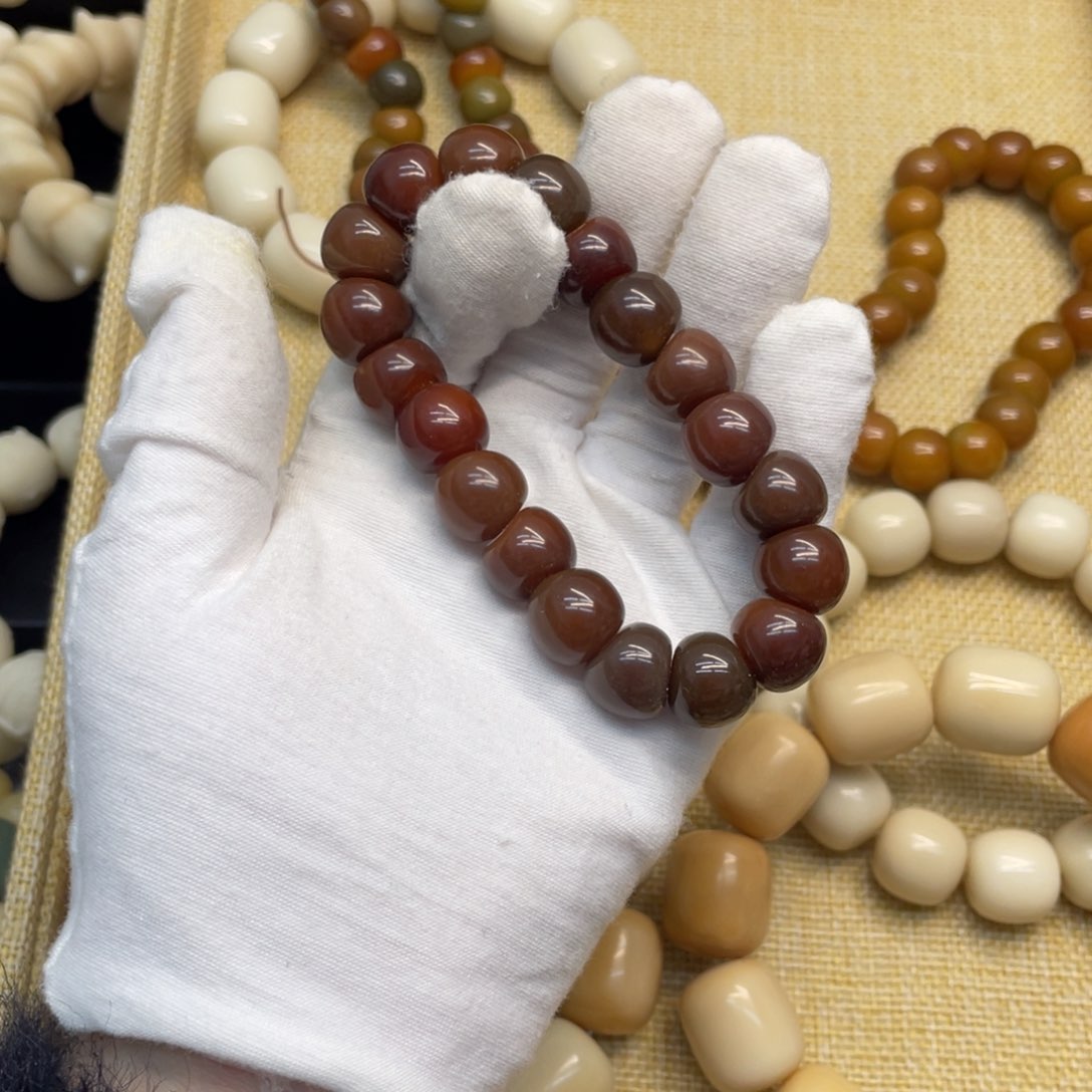 菩提根/象牙果吊坠我***?13+精工肠235