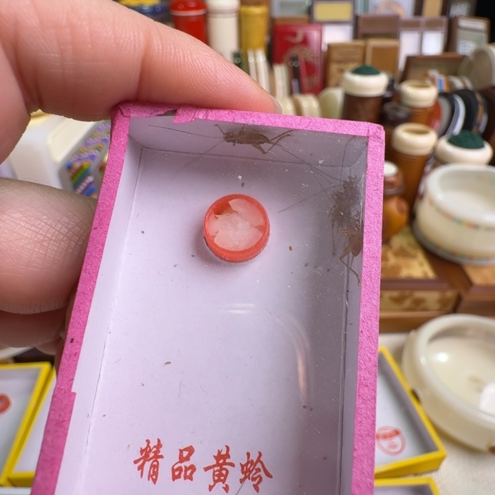 2盒小黄龄合适好看