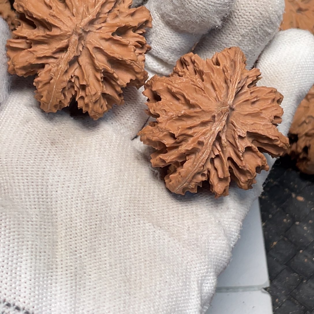 l***y把件桃核6 秦岭灯笼野生小众