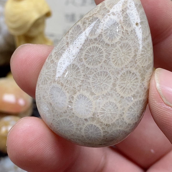 颈饰未镶嵌硅化珊瑚（珊瑚玉）有瑕