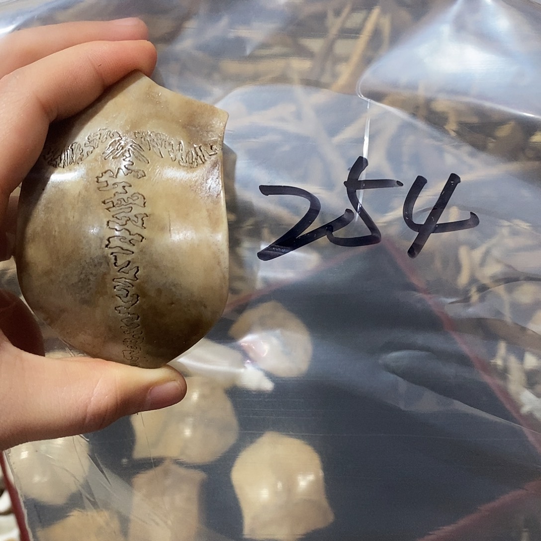 毛***末非金属三界三界三界
