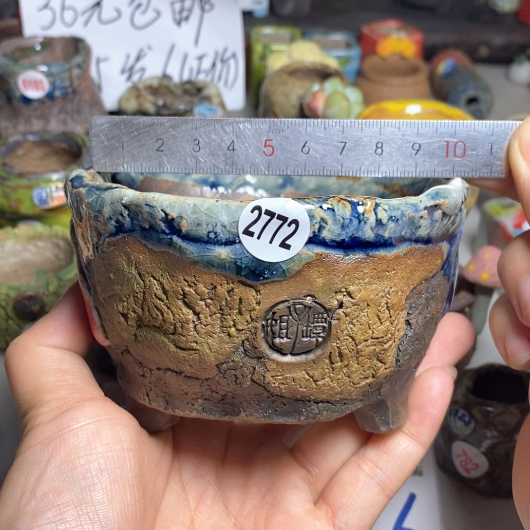 拍5送一个小礼物