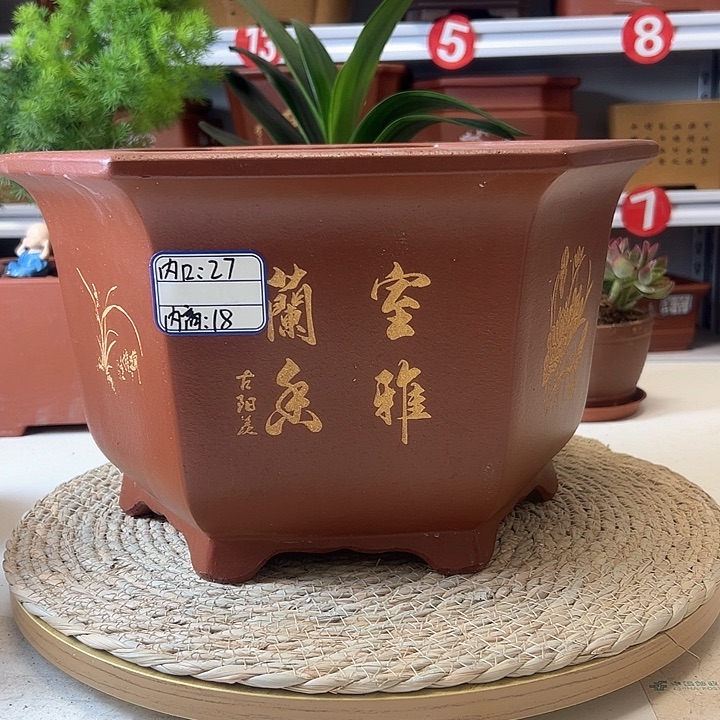 紫砂花盆蛇年大吉