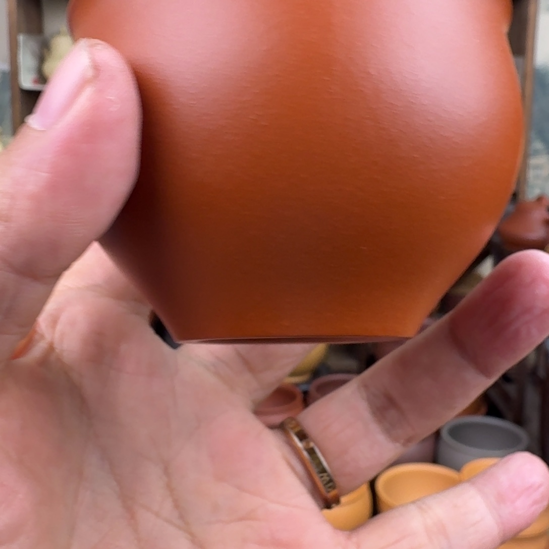 茶杯紫砂1122444589999933