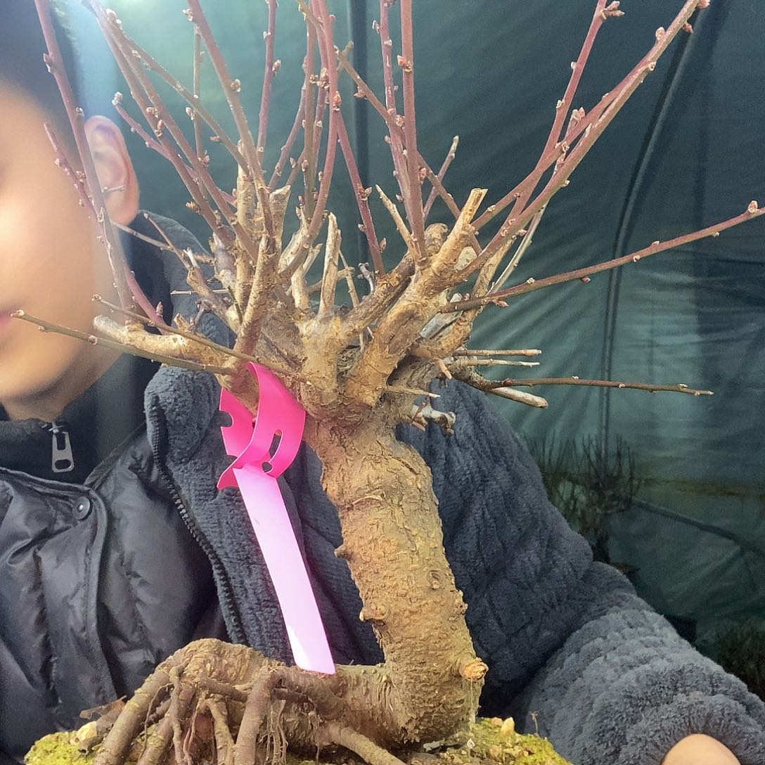 完全开放11111111