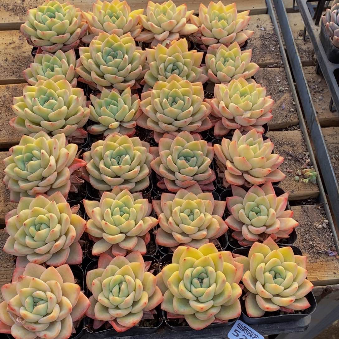 三*627的人生态度是一种态度，我