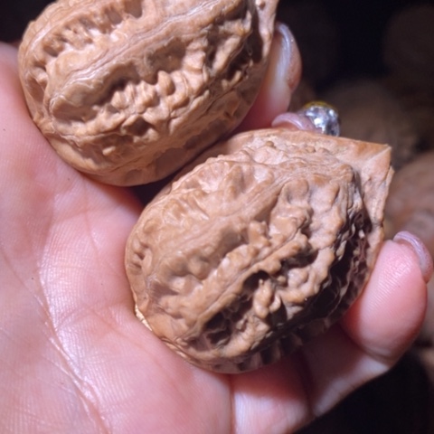 文玩核桃把件东北野生楸子小美09